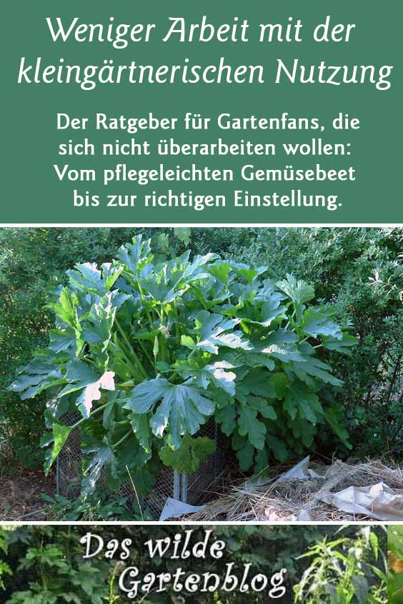 Ratgeber im Gartenblog: Gärtnern mit weniger ARbeit